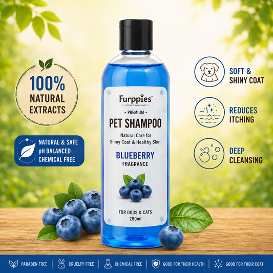 Furppies Blueberry Pet Shampoo for Dogs & Cats | Natural Coat Cleanser | Deep Cleansing & Itch Relief | pH Balanced Formula | Soft & Shiny Coat