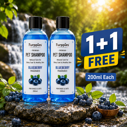 Furppies Blueberry Pet Shampoo for Dogs & Cats | Natural Coat Cleanser | Deep Cleansing & Itch Relief | pH Balanced Formula | Soft & Shiny Coat