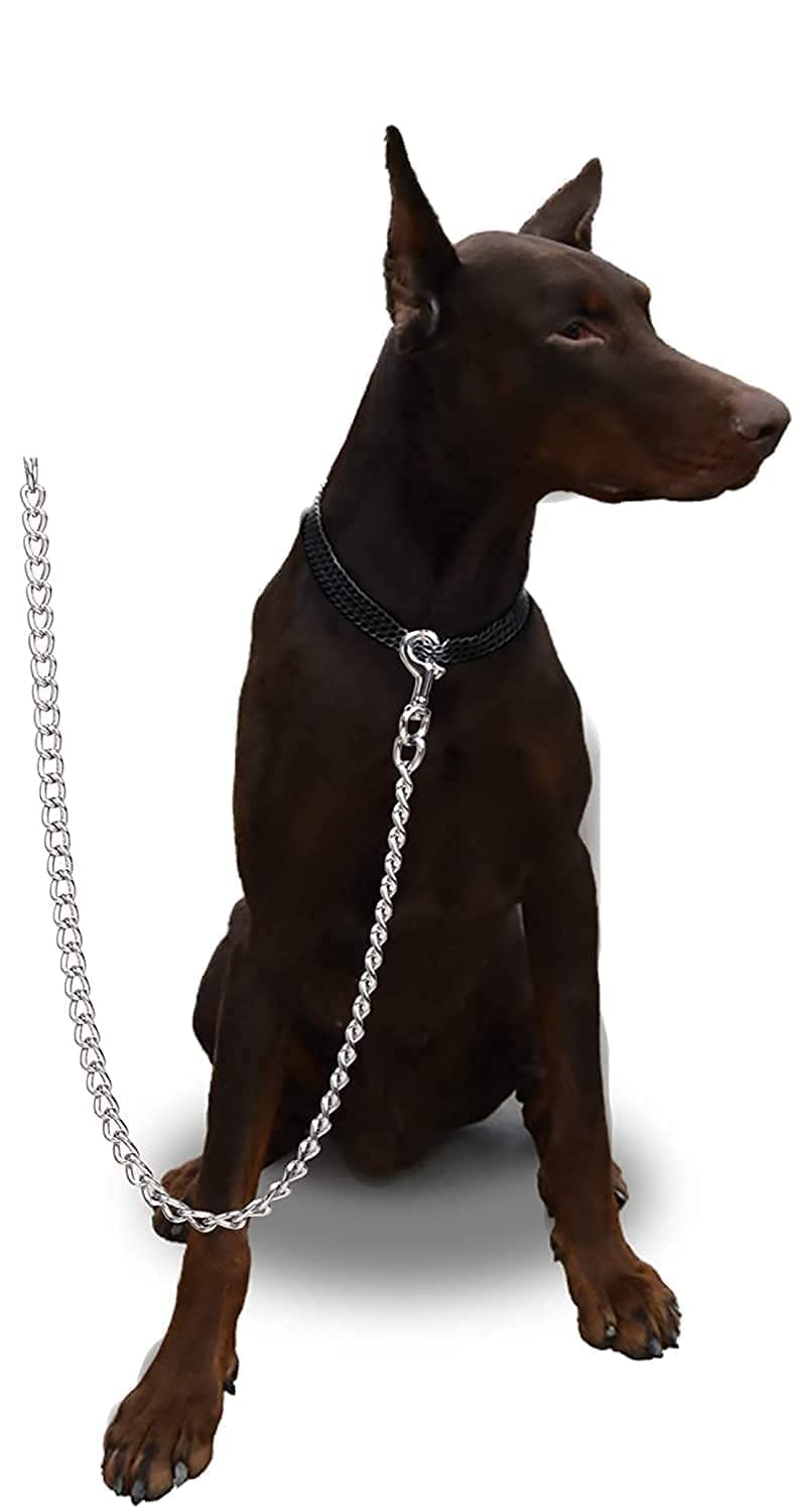 Furppies Metal Dog Chain Leash for Dogs – 6 Sizes