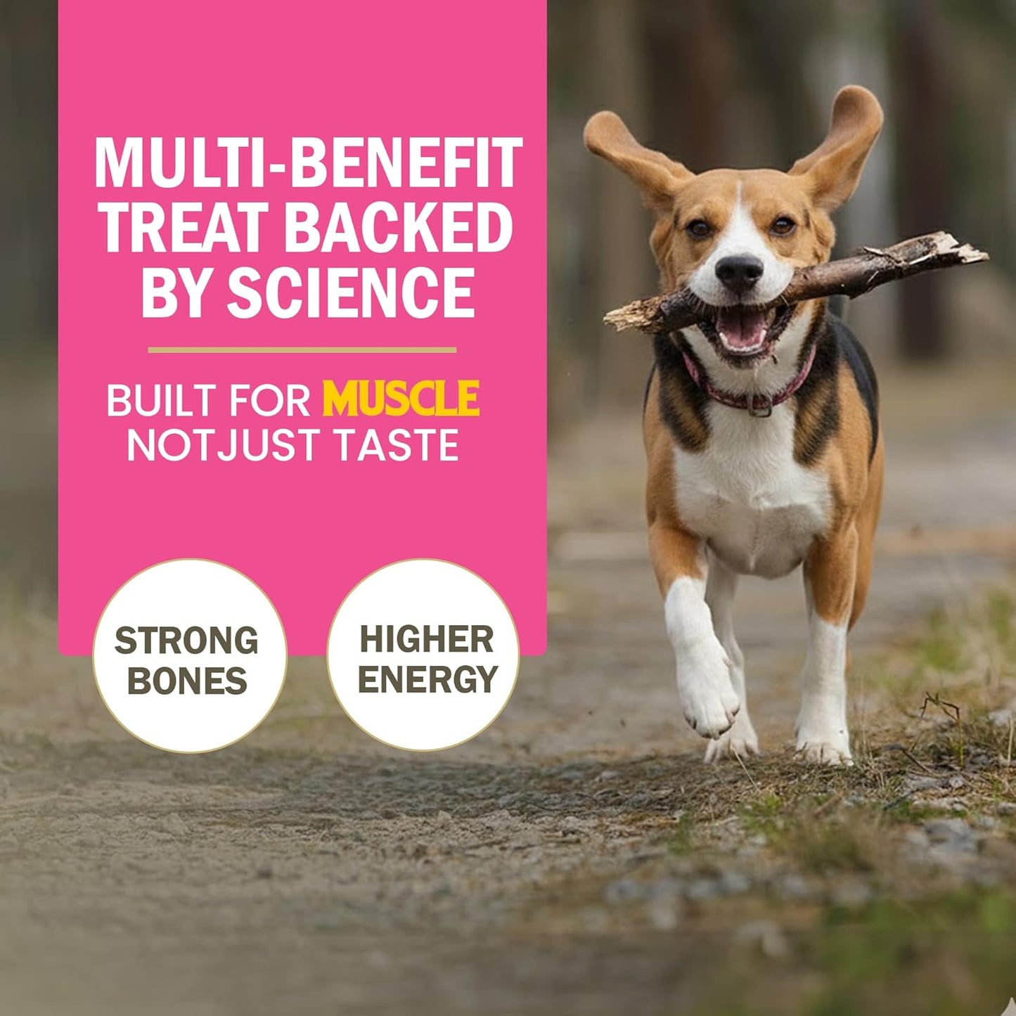 Gnawlers Calcium 90 in 1 Milk Bones Dog Treats, 850 g, All Life Stages