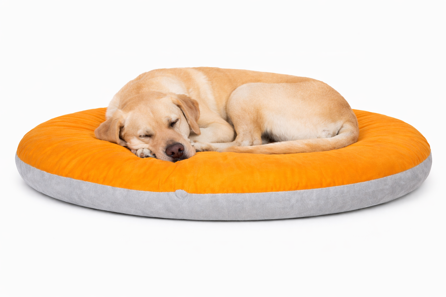 Round donut-style pet bed, orange top cushion, grey base