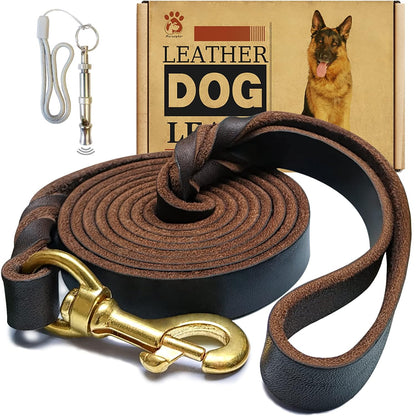 Petstrack Premium Genuine Leather Dog Leash 5ft | Heavy-Duty Training & Walking Lead with Solid Brass Hook | Durable Leather Lead for Small, Medium & Large Dogs