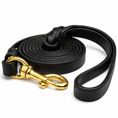 Petstrack Premium Genuine Leather Dog Leash 5ft | Heavy-Duty Training & Walking Lead with Solid Brass Hook | Durable Leather Lead for Small, Medium & Large Dogs