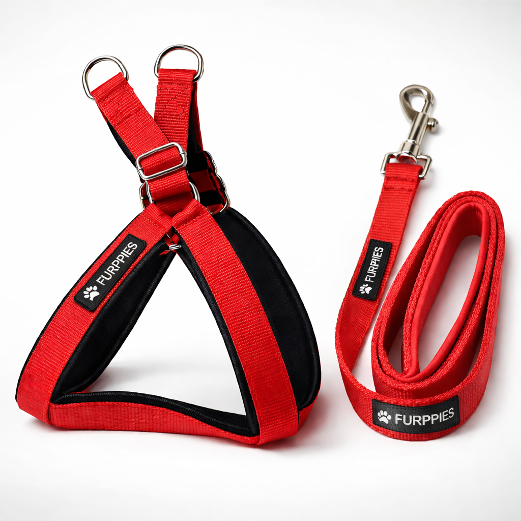 Furppies PP Dog Harness and Leash Set – Adjustable Dog Harness Size Guide