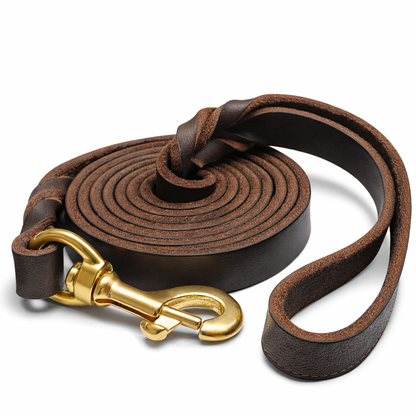 Petstrack Premium Genuine Leather Dog Leash 5ft | Heavy-Duty Training & Walking Lead with Solid Brass Hook | Durable Leather Lead for Small, Medium & Large Dogs
