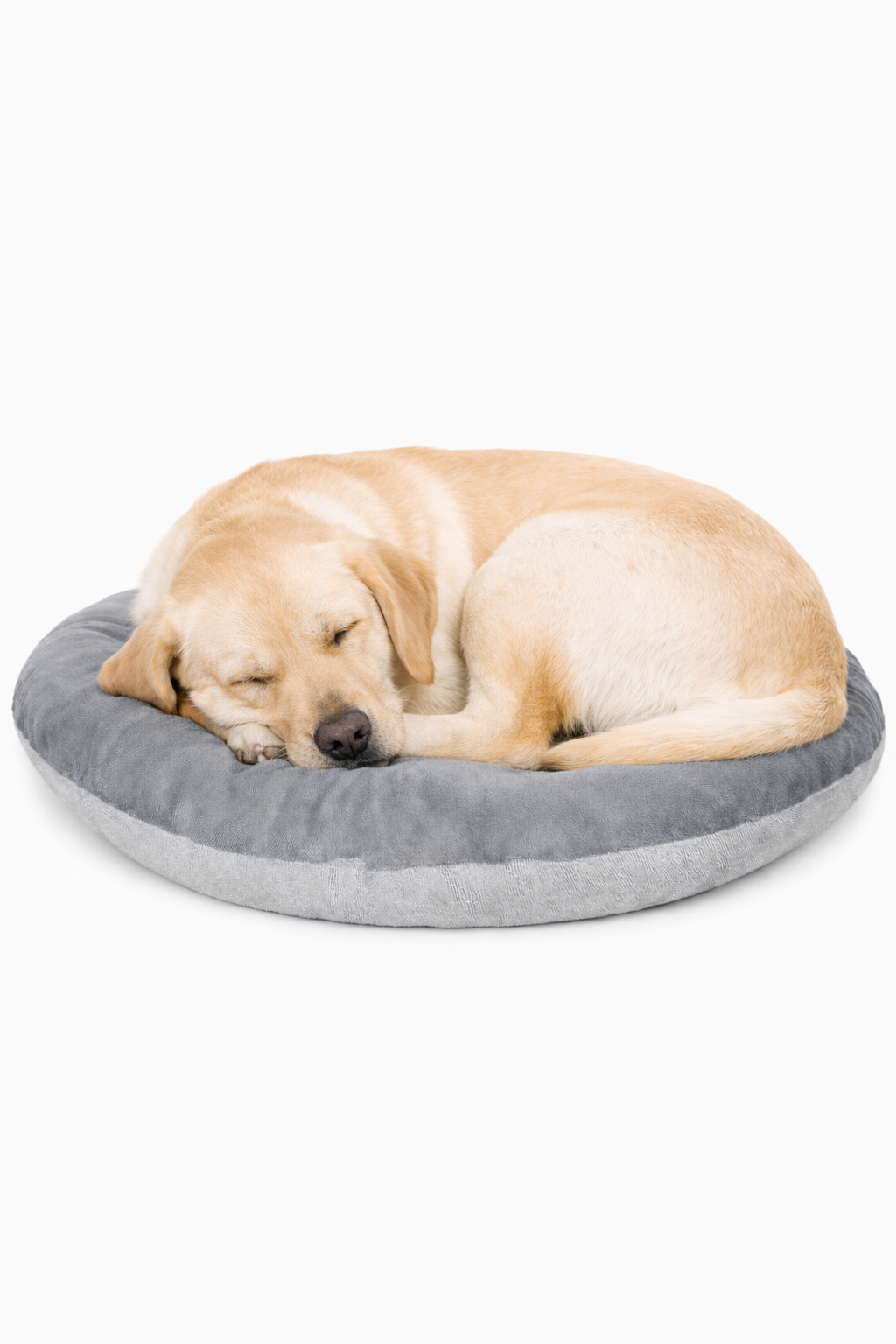 Round donut-style pet bed, orange top cushion, grey base