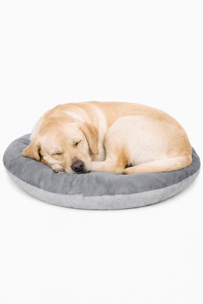 Round donut-style pet bed, orange top cushion, grey base