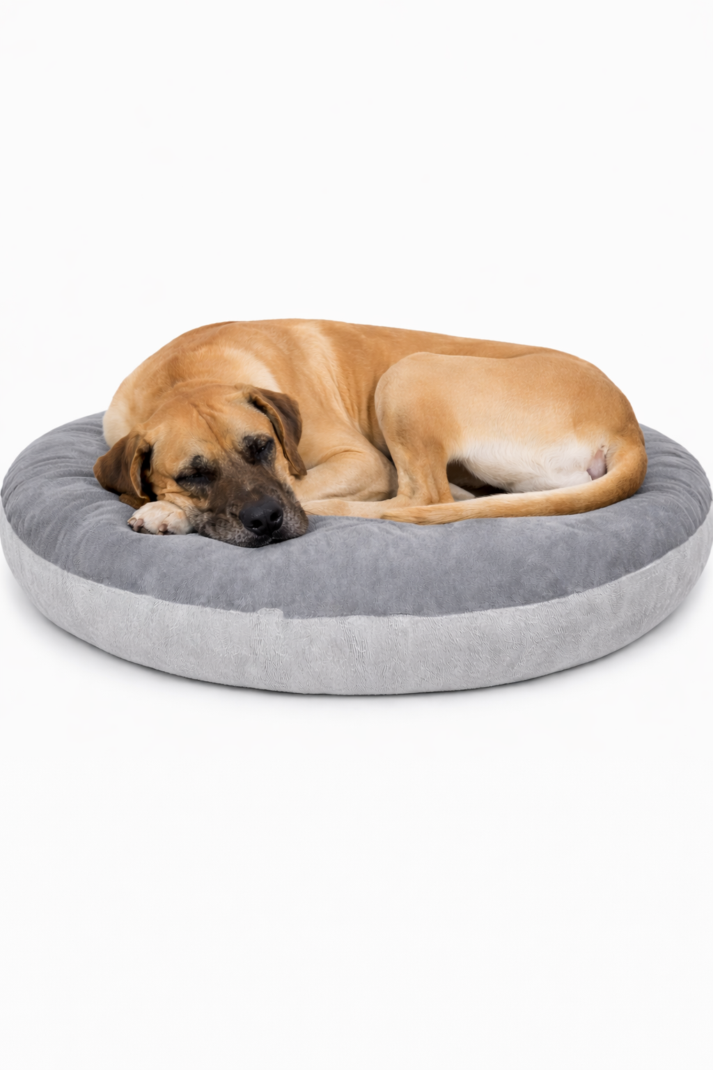 Round donut-style pet bed, orange top cushion, grey base