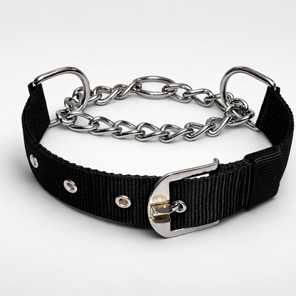 Furppies Martingale Dog Training Collar – Controlled Pull Design with Heavy-Duty Chain