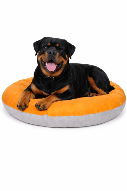 Round donut-style pet bed, orange top cushion, grey base